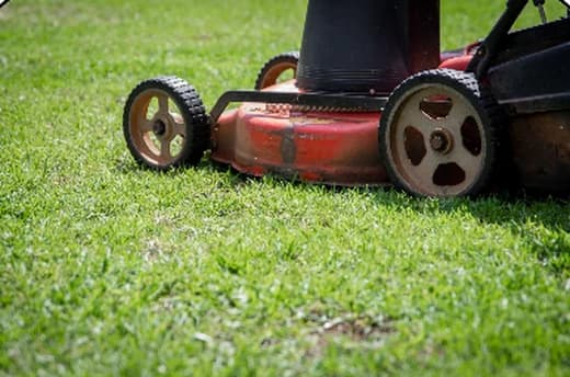 A gardener trimming a hedge with powered shears.